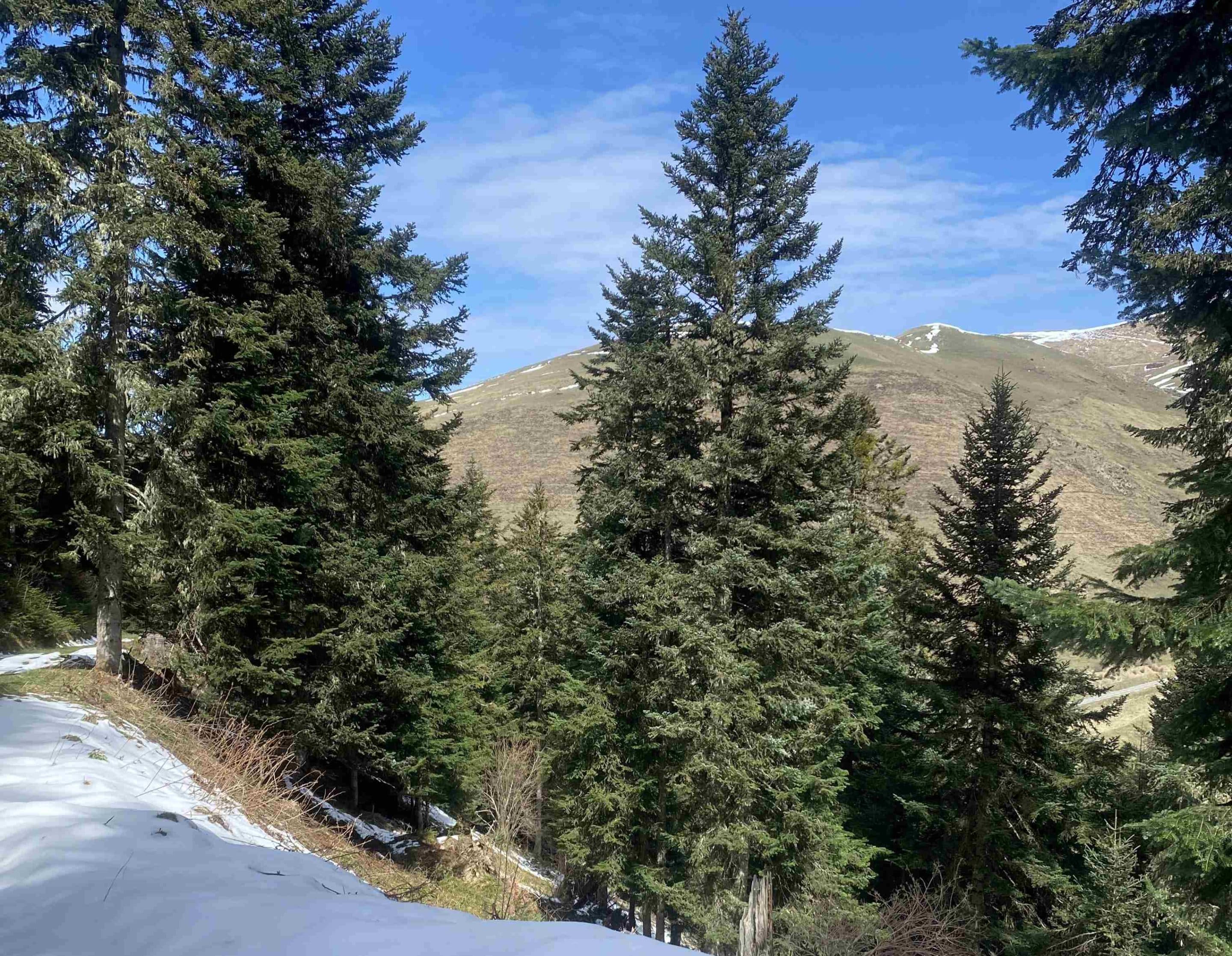 snooc peyragudes