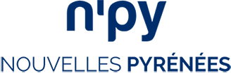 logo npy